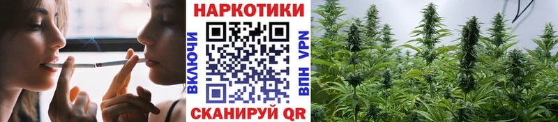 Где купить наркотики Борзя Псилоцибиновые грибы  АМФ  Alpha-PVP  Бошки Шишки  Меф  Кокаин 