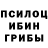 Галлюциногенные грибы прущие грибы DzEagle