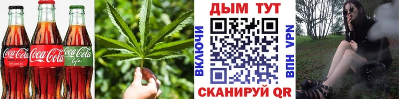 ссылка на мегу как войти  Борзя  Cannafood марихуана 