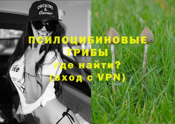 а пвп мука Новодвинск