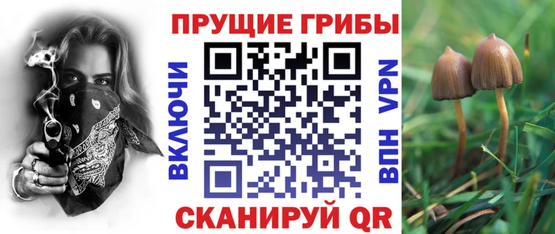 Псилоцибиновые грибы мухоморы  где купить   ОМГ ОМГ сайт  сайты даркнета Telegram  Борзя 