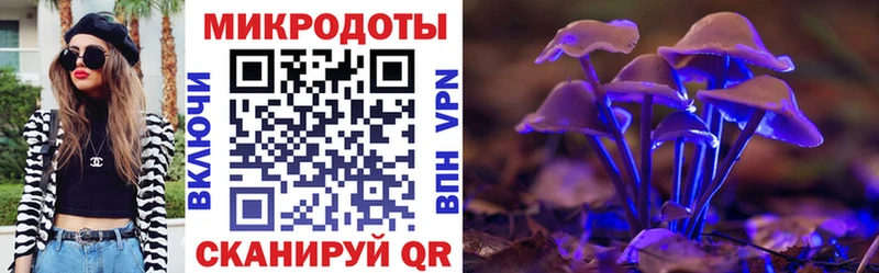 Псилоцибиновые грибы Psilocybe Борзя