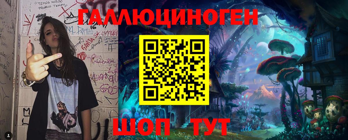 Галлюциногенные грибы Psilocybine cubensis Борзя