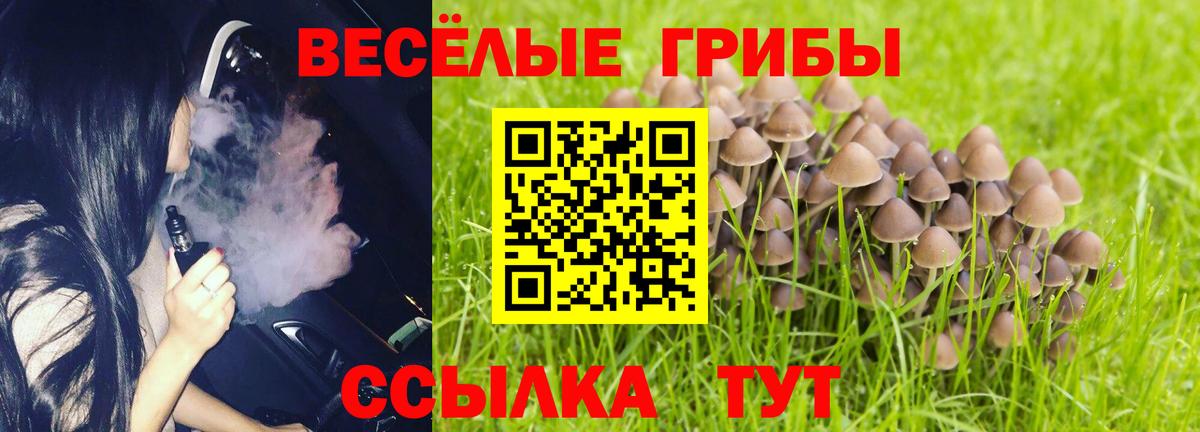 Борзя  Галлюциногенные грибы Cubensis  Вход с VPN 